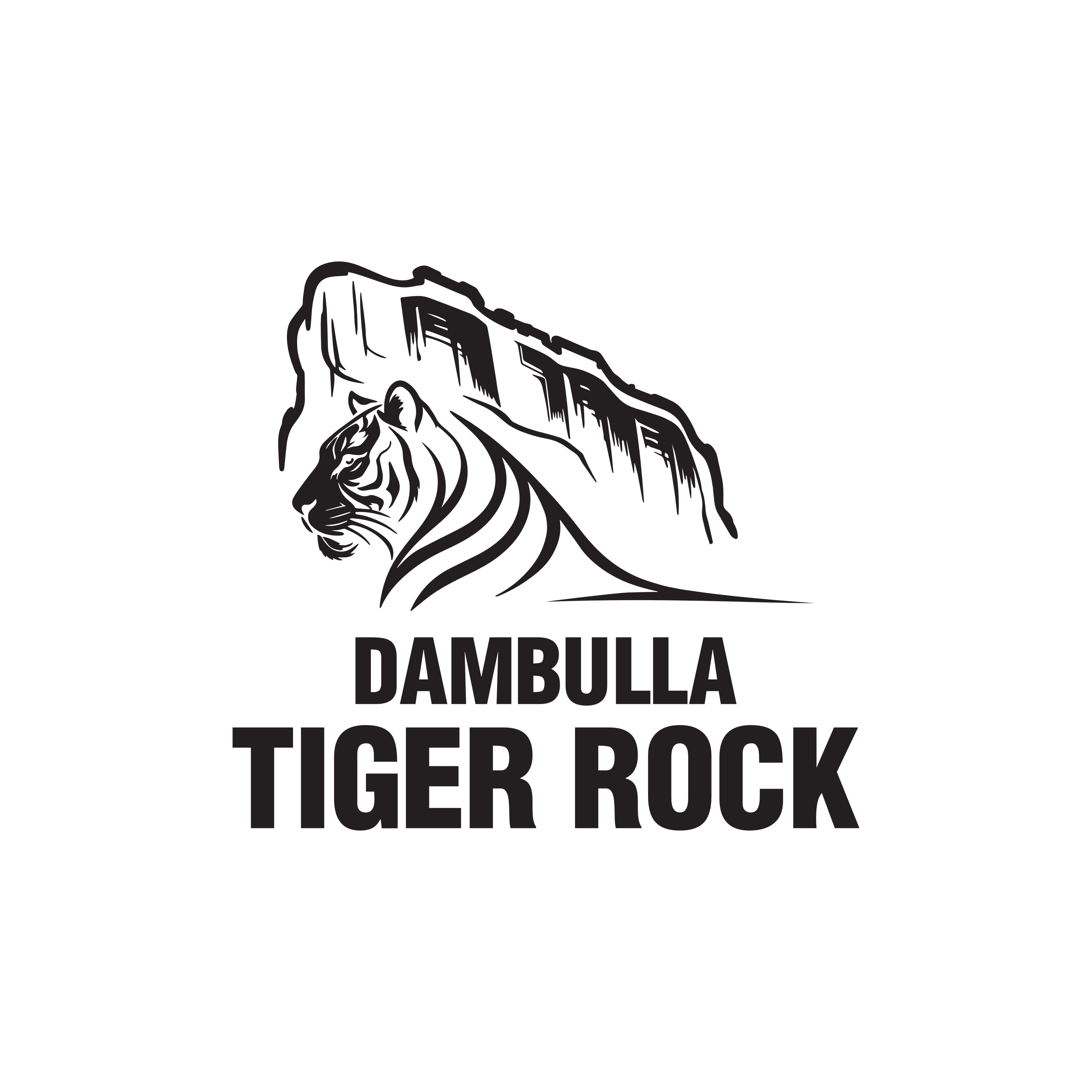 Dambulla Tiger Rock Logo