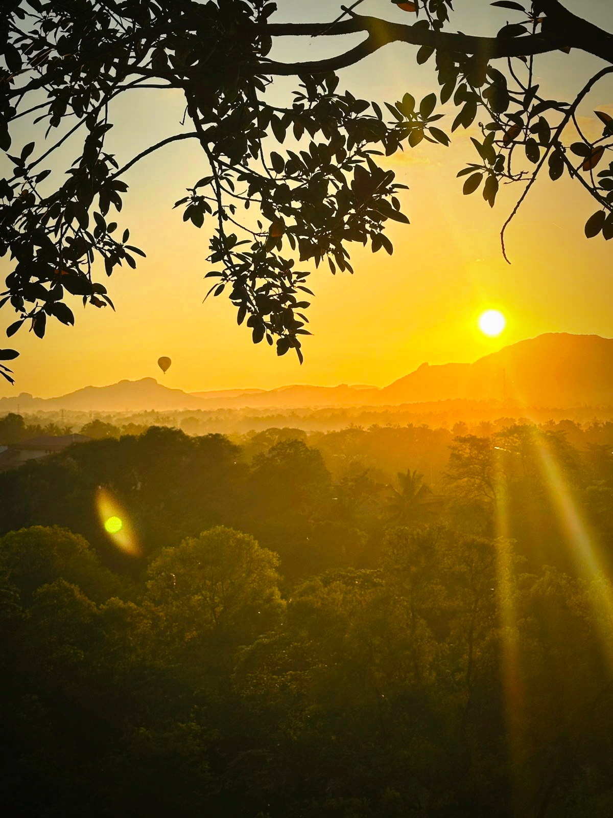Sigiriya Rock Fortress Day Trip